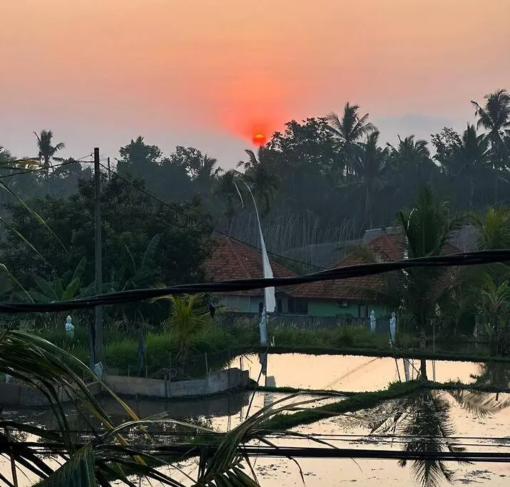 2 Private Villas With 2 Pools For Larger Families Or Group Get Togethers Ubud