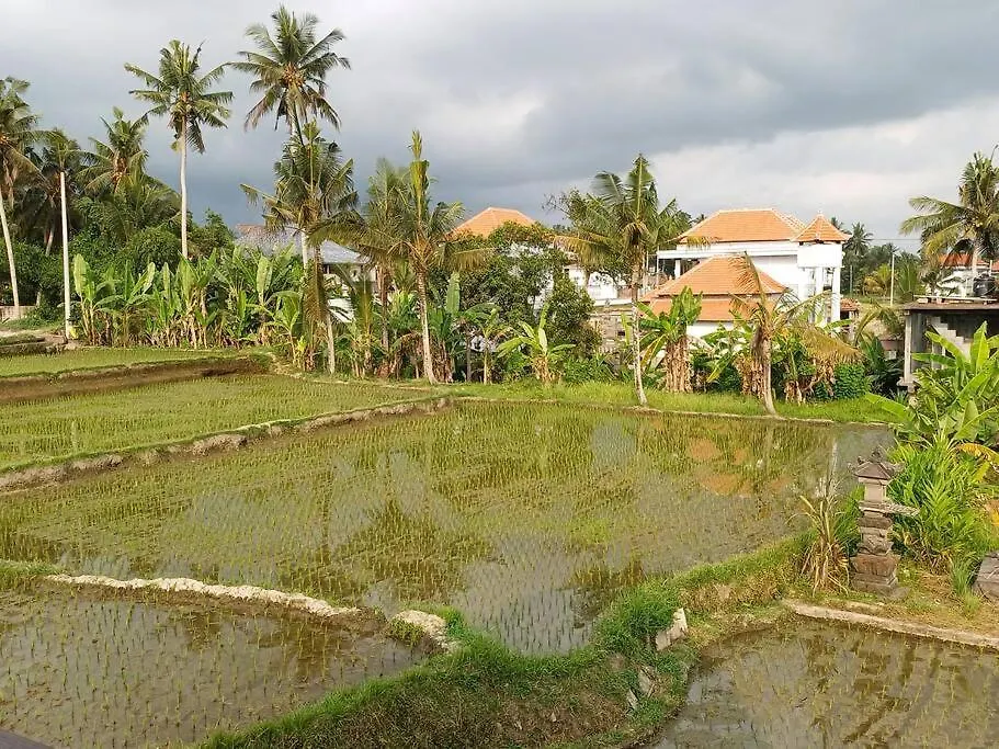 2 Private Villas With 2 Pools For Larger Families Or Group Get Togethers Ubud