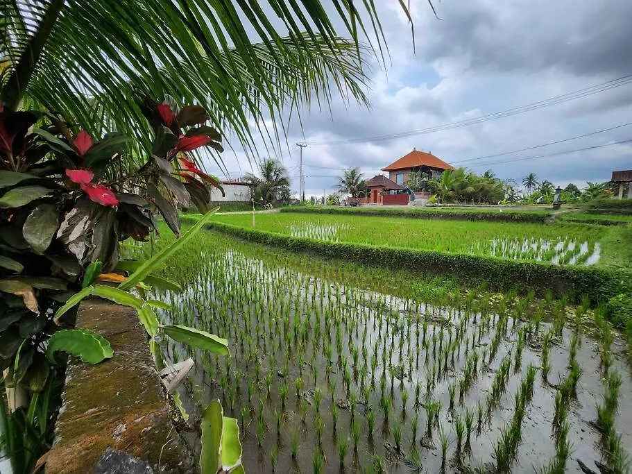 2 Private Villas With 2 Pools For Larger Families Or Group Get Togethers Ubud  Ubud (Bali)