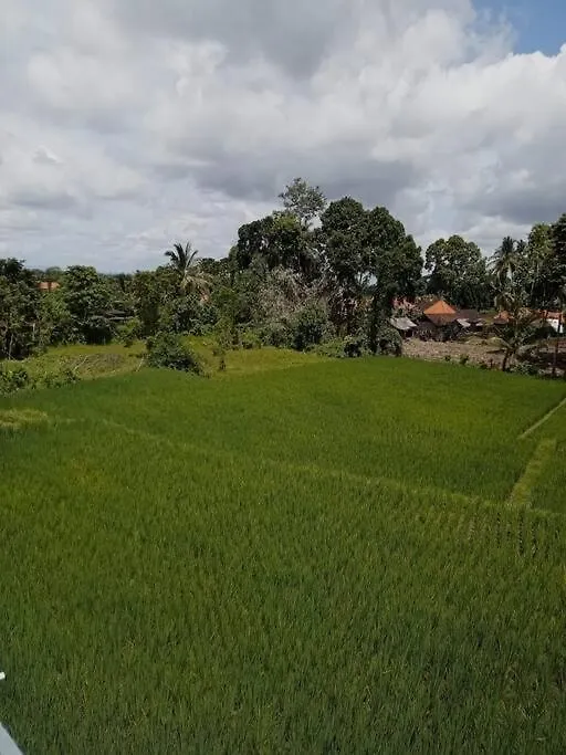 2 Private Villas With 2 Pools For Larger Families Or Group Get Togethers Ubud   Ubud (Bali)